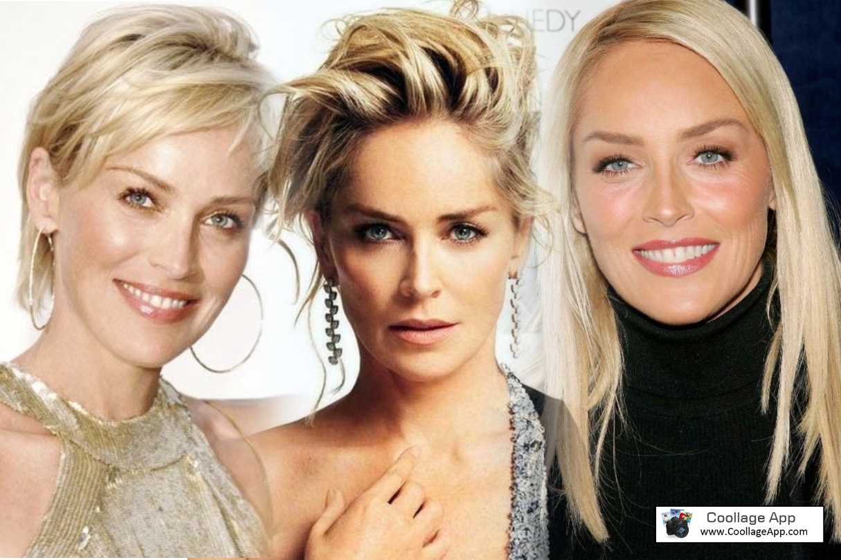 Sharon Stone Wiki, Biography, Age, Religion, Height, House, Family & Net Worth