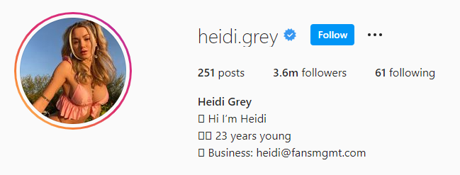 Heidi instagram followers