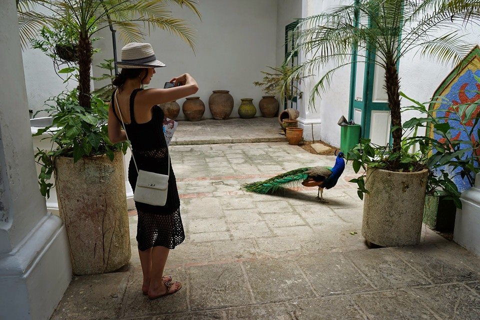 Nicole in Cuba