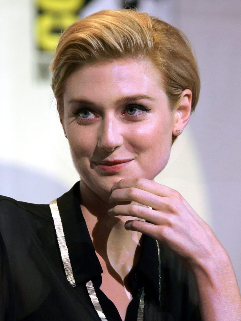 Elizabeth Debicki Wiki, Age, Height, Boyfriend, Husband, Relationships, Parents, Profession, Net Worth, Biography & More